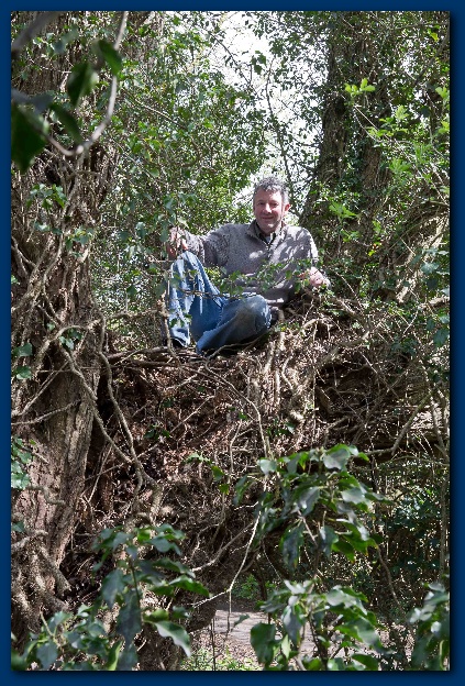 423x624 pixels (214K)